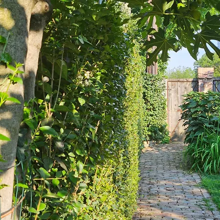 Апартаменты Con Ingresso Privato E Vista Giardino Белград